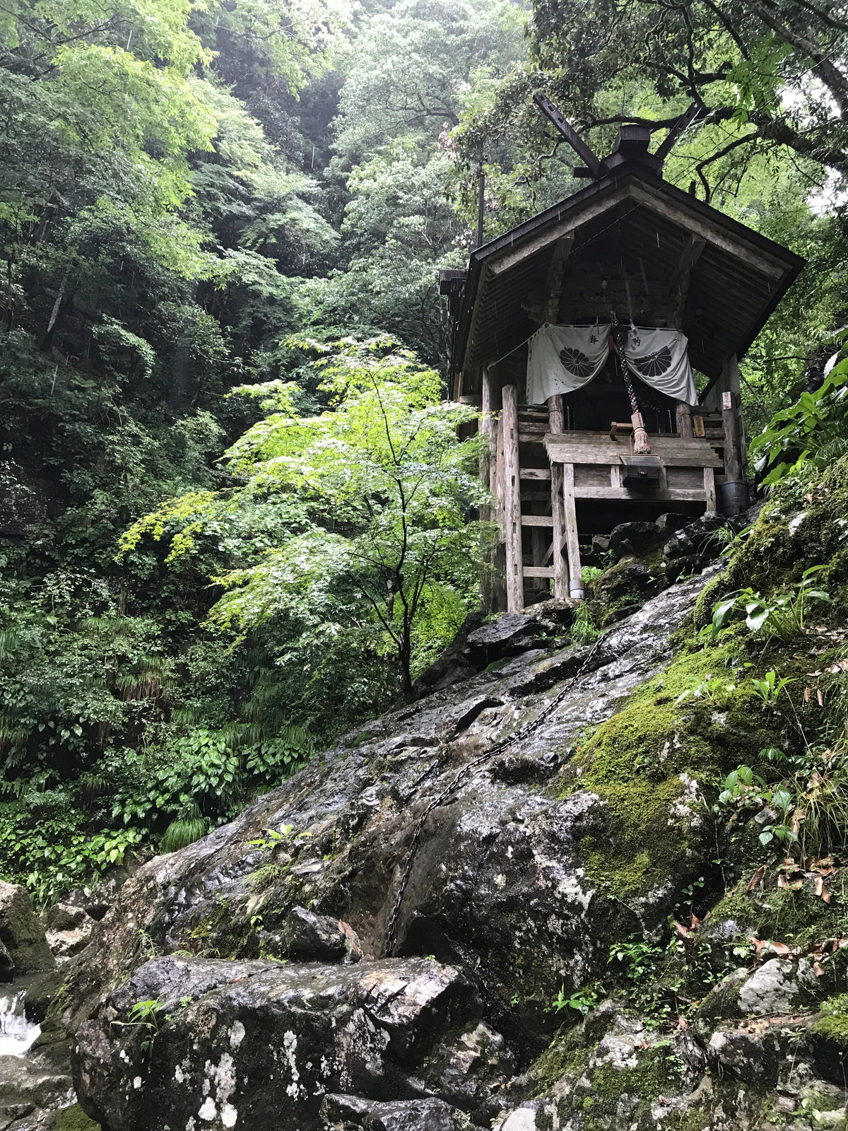 本日の神社1~元伊勢内宮　皇大神社＆天岩戸神社 - Kenichi Asano Studio – Custom Jewelry & Sculpture / by 淺野屋健一
